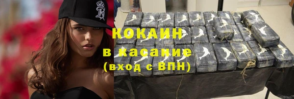 дживик Богородск