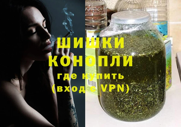 дживик Богородск