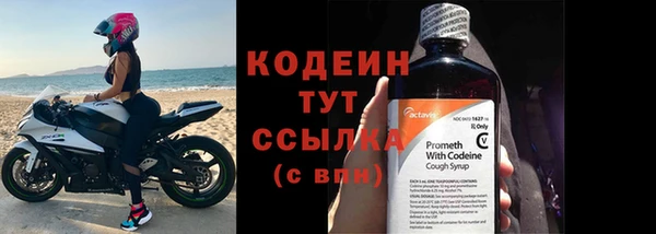 дживик Богородск