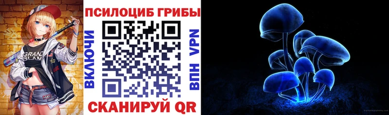закладки Гатчина Галлюциногенные грибы MAGIC MUSHROOMS