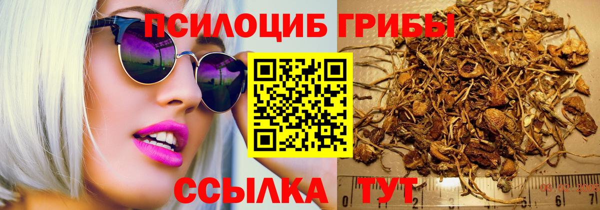 Псилоцибиновые грибы ЛСД  даркнет сайт  Гатчина  Вход с VPN 